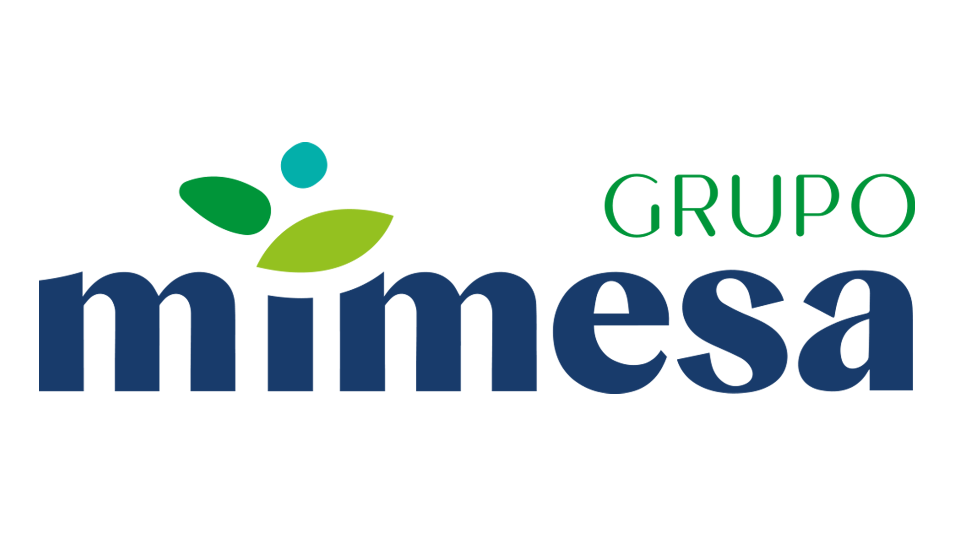 Grupo Mimesa